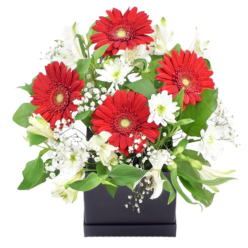 Цветы в коробке Нежное признание